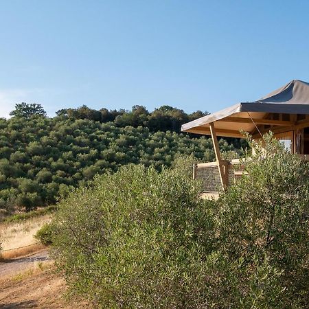Glamping Podere San Jacopo 마사마리티마 외부 사진