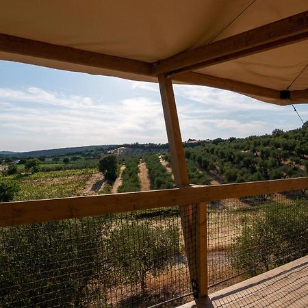 Glamping Podere San Jacopo 마사마리티마 외부 사진