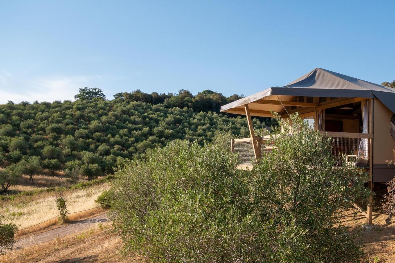 Glamping Podere San Jacopo 마사마리티마 외부 사진
