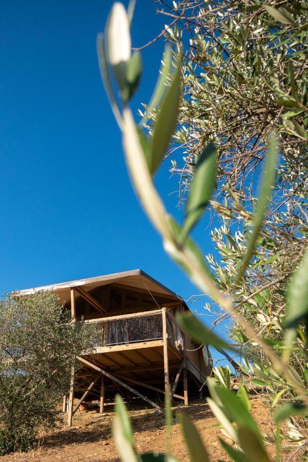Glamping Podere San Jacopo 마사마리티마 외부 사진